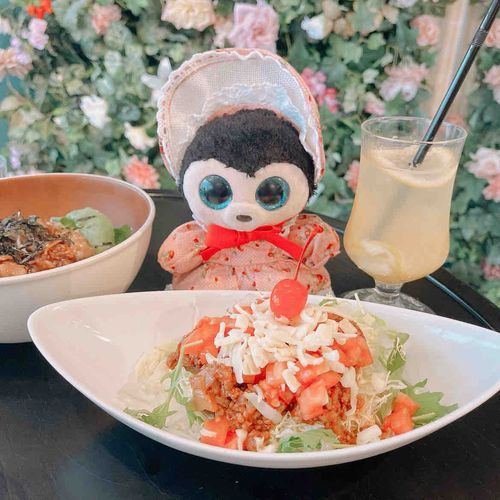 ばーじゅちゃんです🍒
久しぶり〜🌸

おうちの人が、4月から新しいおしごとがはじまってバタバタしてたんだって😱
ケーキ屋さんなんだけど、1か月経って少し慣れたみたい🍰❣️

またゆっくりばーじゅやみんなの写真載せていくね♫
