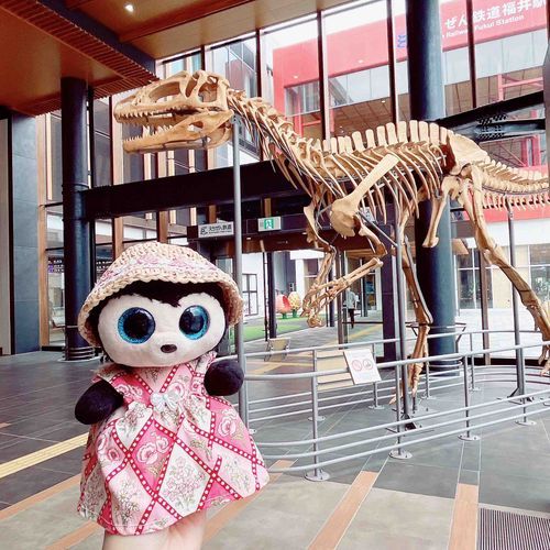 ばーじゅちゃんです🎀

はじめて福井県に旅行にいったよ🚄🌟

駅でホネホネザウルスが歓迎してくれたよ🦖

2枚目はごまどうふソフトクリーム、
3枚目は名物のソースカツ丼、
4枚目は東尋坊で食べたイカとホタテだよ🦑

ご当地の食べものは絶対食べなきゃだよね🤤💖