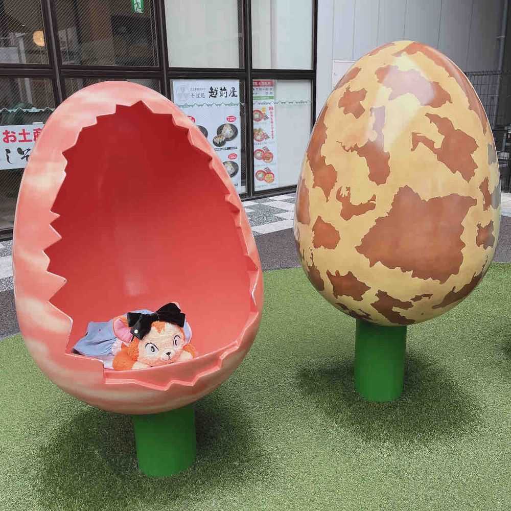 きゃあ〜〜〜🦖🦖🦖🥚