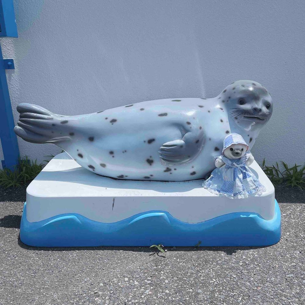 おもちだよ〜🦭🌟

福井では水族館にいってきたよ🐬
イルカショーをみたり、タコさんにさわったりしたよ🐙

いちばんのお目当ては、あざらしタッチ🦭✨
はじめてあざらしをさわらせてもらったよ〜♫