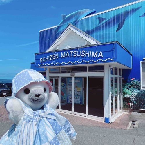 おもちだよ〜🦭🌟

福井では水族館にいってきたよ🐬
イルカショーをみたり、タコさんにさわったりしたよ🐙

いちばんのお目当ては、あざらしタッチ🦭✨
はじめてあざらしをさわらせてもらったよ〜♫