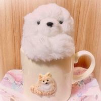 しろちゃん