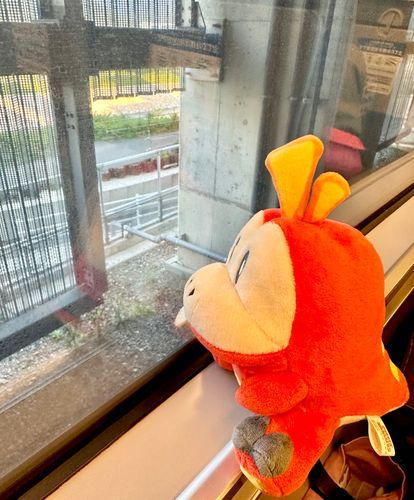 ホゲータと旅立ち
