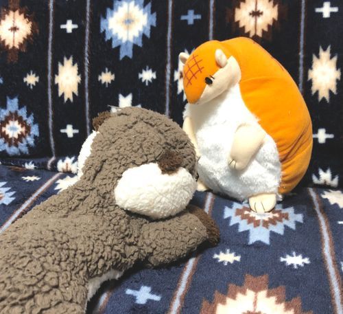 いやーなニュースや話がたくさん入ってきてしんどいよ〜〜〜

ってベッドで突っ伏す自分ともちおが重なるなどした
聞いてよジョン〜〜〜