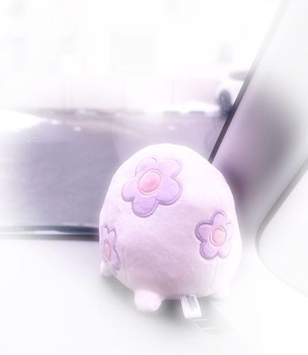 仕事を終えて疲れて車に戻ってきた時、好きなポケモンの後ろ姿に何度癒されたかわからない