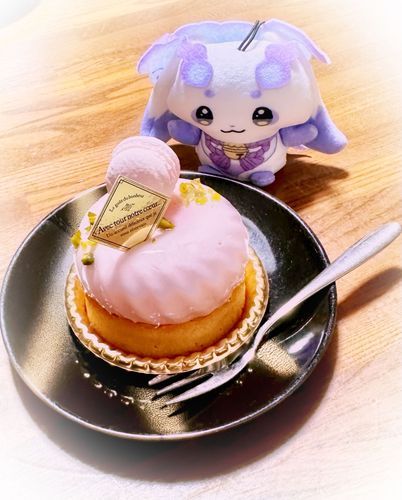 ちょまとさまざまなおいしいもの
いちごムースのケーキ