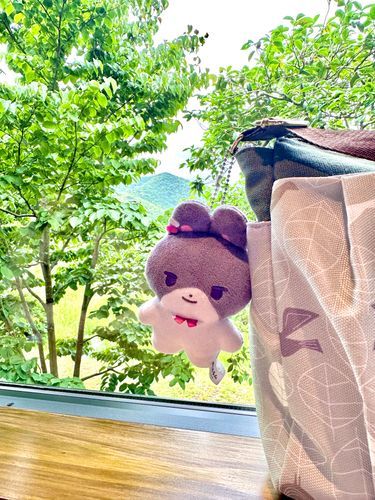 いろいろしんどくて篭ってたけど、元気になってきました
みとたうんはお出かけのお供になったので、職場に一緒に行く子を誰にしようか考えています