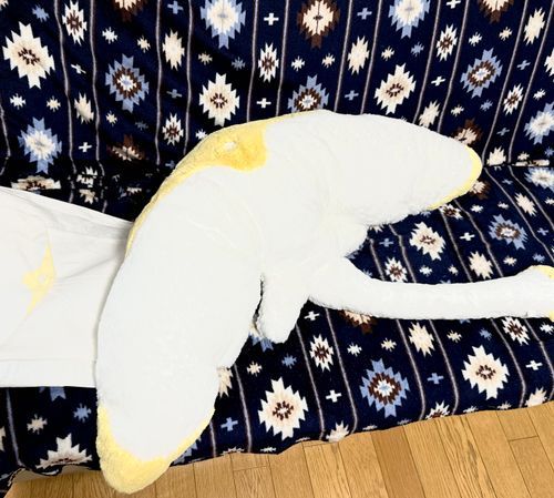 今！！！
今すごく！！！
ぬいぐるみを抱っこしたい！！！
職場用ぬいを！！！早く決めないから！！！！！
おうちにあるでっかいマンタぬい抱っこしたい！！！！！