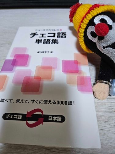 jen a jen dělám anki
(ひたすら あんき、だ！)