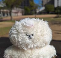 まんぷくちゃん