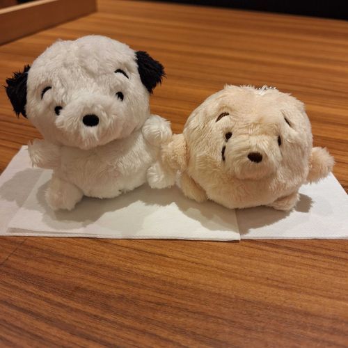 はじめまして！
かちょ(左)とまめちょ(右)だよー！
ちょとまえから ぬしさんのおうち おせわ なてます！
もさせんぱいに じゃくにくきょしょく おしえてもらたから ぼくたちも がんばるー！