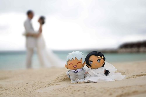 ぬいたちのしゃしんがとどいた やぬしはそえもの