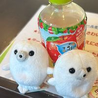 元気をわけるあざらしちゃん