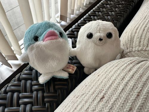 陽の光が気持ちいいねぇ〜！ﾈｯｿｳﾀﾞﾈｯ！