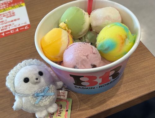 こんないっぱいのアイス見たことない！沢山食べて幸せ(  ´˘`  )