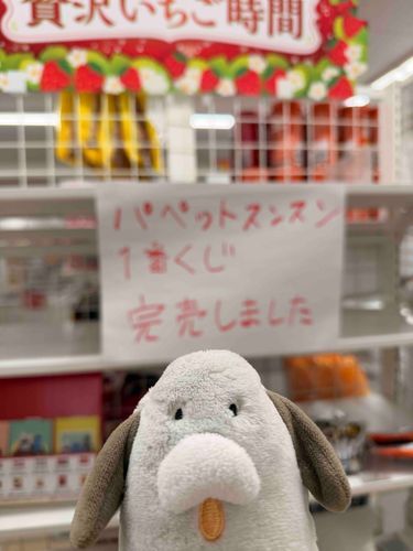 ンワンワワアンンンンンワワ…🐶
大人気ワンね