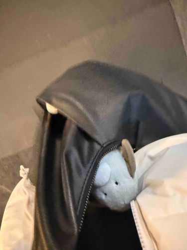 今日もカイヌシがちゃんと帰れるか警備ワン