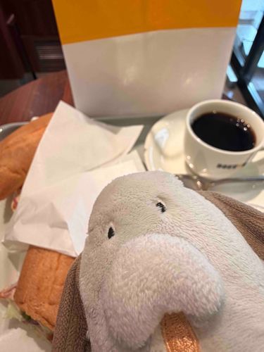 ドトールワン