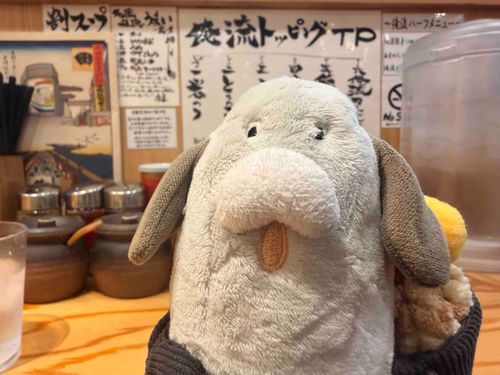 カイヌシ！ラーメンワン？！🐶✨️