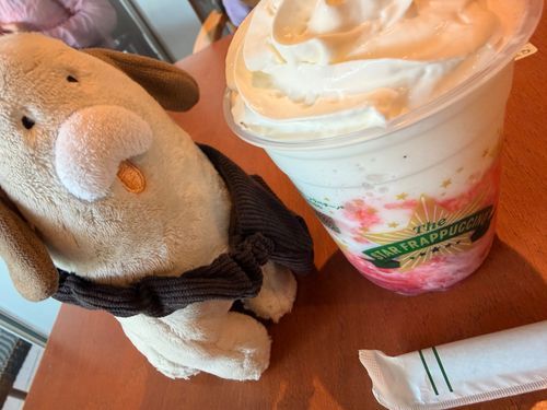 🍓フラペチーノワン🐶