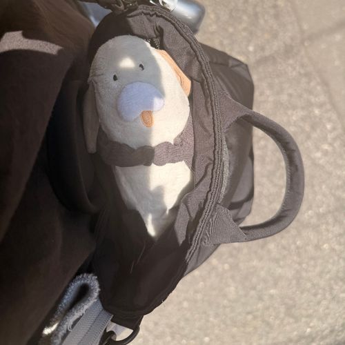 お出かけワン🐶