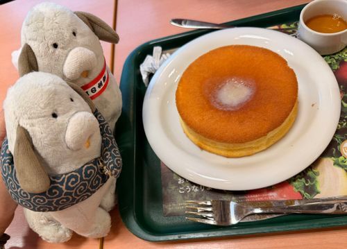 スフレパンケーキワン
水分持ってかれたワン🐶