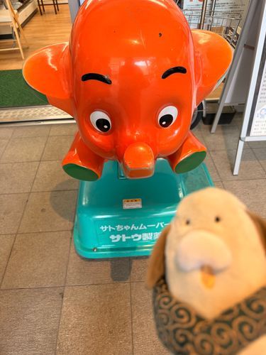 ワン