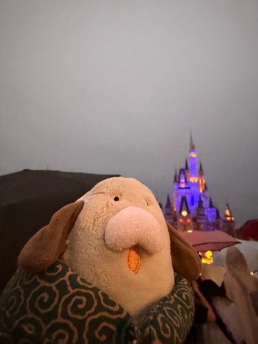 先月、ディズニーランドデビューしたワン