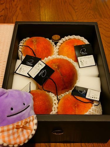 桃が届きました
美味しそうです
