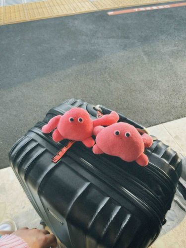 旅行！！！！！旅立ち！！！！
