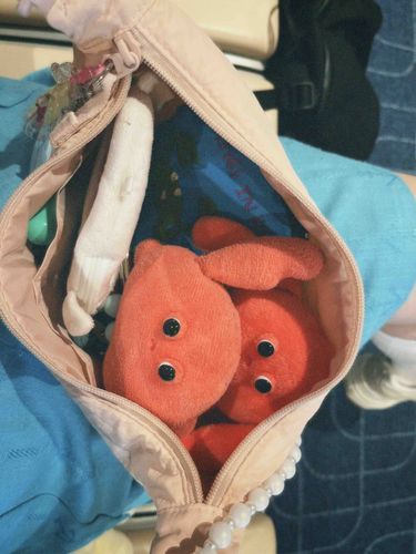 かにとかにと先輩がくれた海外の蟹ポーチ🦀