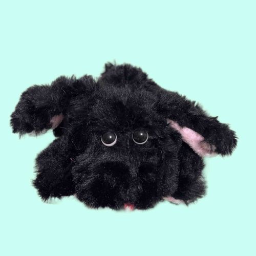 NEW ‪☆ 黒い犬っころ