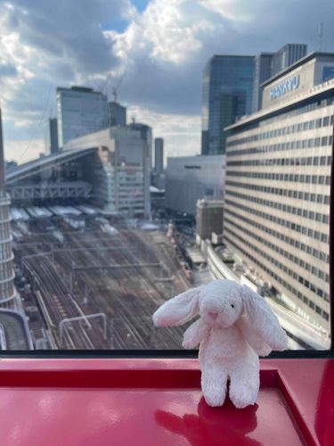景色、綺麗だなー🎡