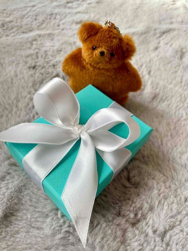 クリスマスプレゼントもらった🎁