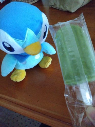 暑い日にアイス食べた。
ポッチャマも食べるかい？