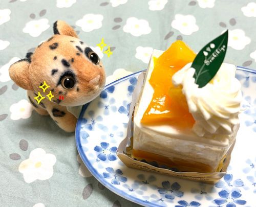 マンゴーショート…🥭🍰♡