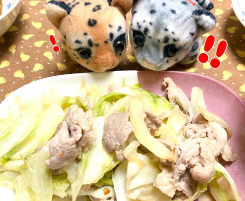 お肉…！！🥩✨