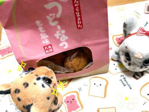 丸亀製麺の うどーなつ…🍩♡
