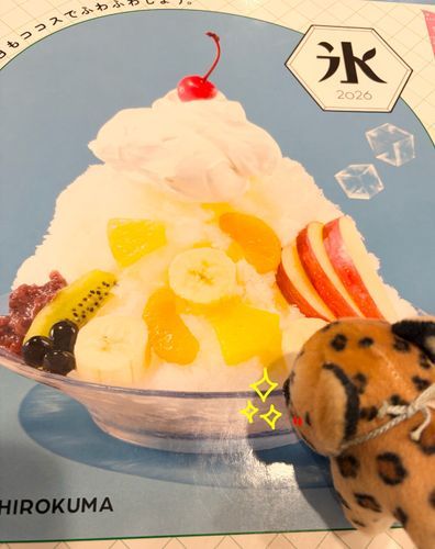 (メニュー表の写真に早くも興奮気味なコヒさん)