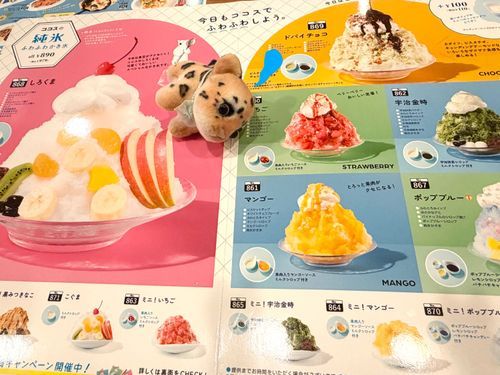 (豊富なラインナップを前に決めきれなくて一回倒れるコヒさん)
