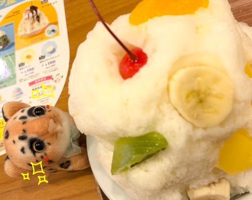 ココスのしろくまかき氷…🍧♡