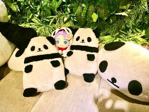 ことしも ぱんだどしじゃ ないぬいねー❓