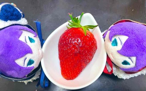 おはもちわー🌸
いちごのしゅんがやってきたよ！
ぼくたちくらいの いちごもあるから びっくりしちゃう🍓
あぅじー ぼくたち またいちごがり いきたいもっち✨