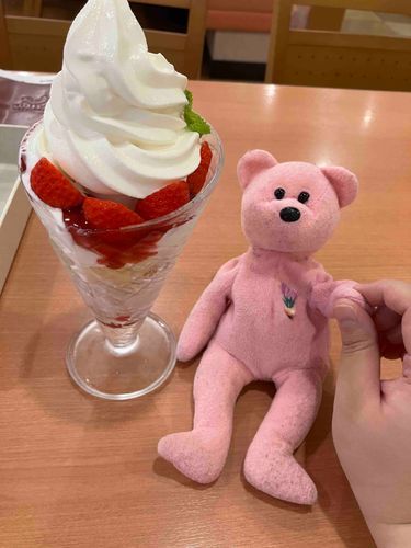 ダイエットは？
妹「明日から本気だす」
…だそうです