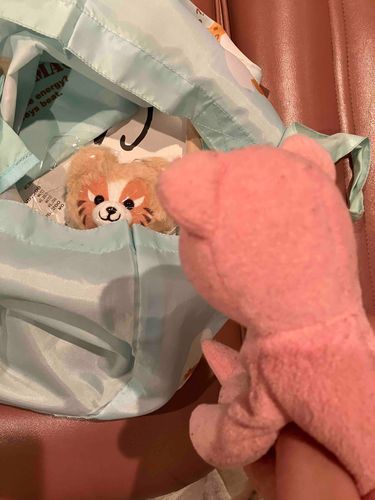スタンディングオベーション！
こっちは妹が一目惚れした猫さん