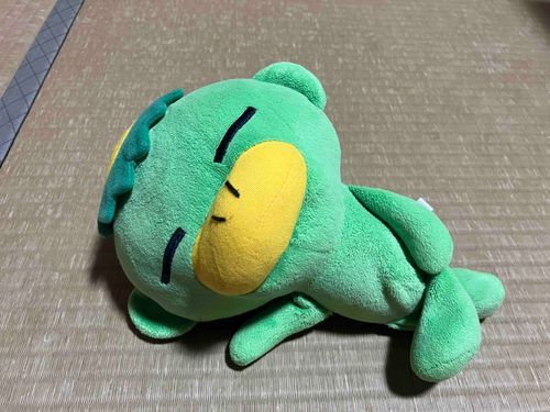 「どうも。先日置いてかれたと思ったら新入りが増えていたカッパです。今日もお買い物置いてくと言われたんで通せんぼして粘ってます」