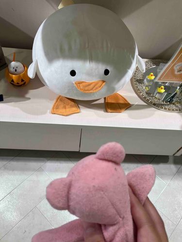 こんにちは