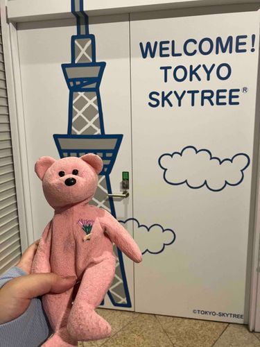 スカイツリーに来たよ