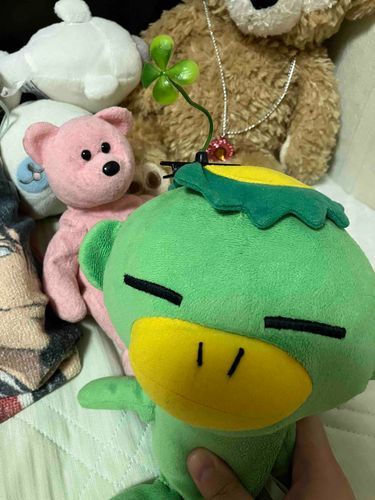 これはピクミンの仮装をしてる(らしい)カッパ