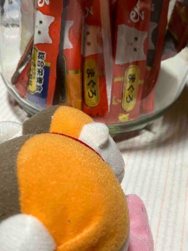 先生、それ食べ物じゃなくてちゅーるだよ